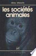 Les sociétés animales
