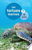 Les tortues marines