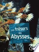 Les trésors des abysses