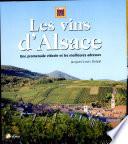 Les vins d'Alsace