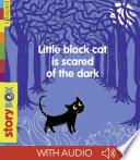 Little Black Cat is scared of the dark