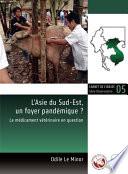 L’Asie du Sud-Est, un foyer pandémique ?
