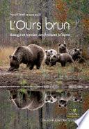 L’Ours brun