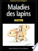 Maladies des lapins