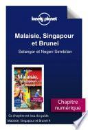 Malaisie, Singapour et Brunei - Selangor et Negeri Sembilan