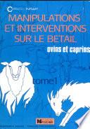 Manipulations et interventions sur le bétail