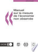 Manuel sur la mesure de l'économie non observée