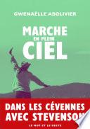 Marche en plein ciel