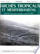 Marchés tropicaux et méditerranéens