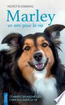 Marley, un amour de chien