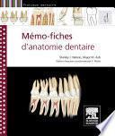 Mémo-fiches d'anatomie dentaire