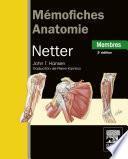 Memofiches Anatomie