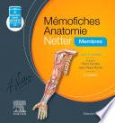 Mémofiches Anatomie Netter - Membres