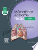 Mémofiches Anatomie Netter - Tronc