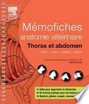 Mémofiches anatomie vétérinaire