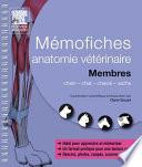 Mémofiches anatomie vétérinaire