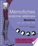 Mémofiches anatomie vétérinaire - Membres