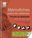 Mémofiches anatomie vétérinaire - Thorax et abdomen