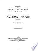 Mémoires de la Société Géologique de France