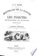 Merveilles de la nature: Les insectes, les myriopodes, les arachnides