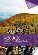 Meschacebé - Tome 2