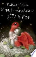 Métamorphose en bord de ciel