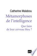 Métamorphoses de l'intelligence