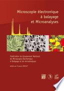Microscopie électronique à balayage et microanalyses