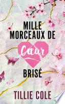 Mille morceaux de coeur brisé