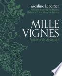 Mille vignes