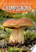 Mini-guide encyclopédique des champignons