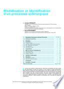 Modelisation et Identification D'un Processes Siderurgique
