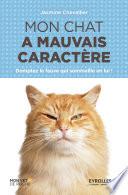 Mon chat a mauvais caractère