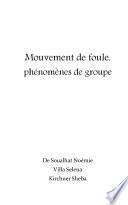 Mouvement de foule, phénomènes de groupe