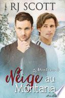 Neige au Montana