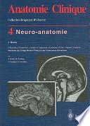 Neuro-Anatomie