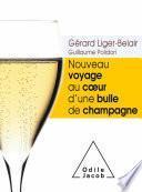 Nouveau voyage au cœur d’une bulle de champagne