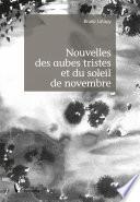 Nouvelles des aubes tristes et du soleil de novembre