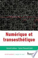 Numérique et transesthétique