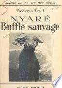Nyaré, buffle sauvage