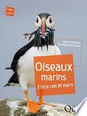Oiseaux marins