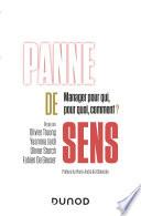 Panne de sens