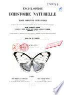 Papillons diurnes et crépusculaires