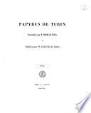 Papyrus de Turin facsimilès par F. Rossi de Turin, et publiès par W. Pleyte de Leide