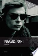 Pegasus point