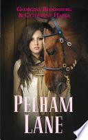 Pelham Lane - Tome 1