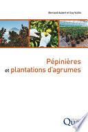 Pépinières et plantations d’agrumes