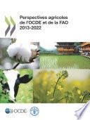 Perspectives agricoles de l'OCDE et de la FAO 2013
