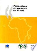 Perspectives économiques en Afrique 2008