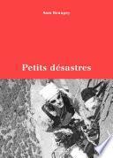 Petits désastres